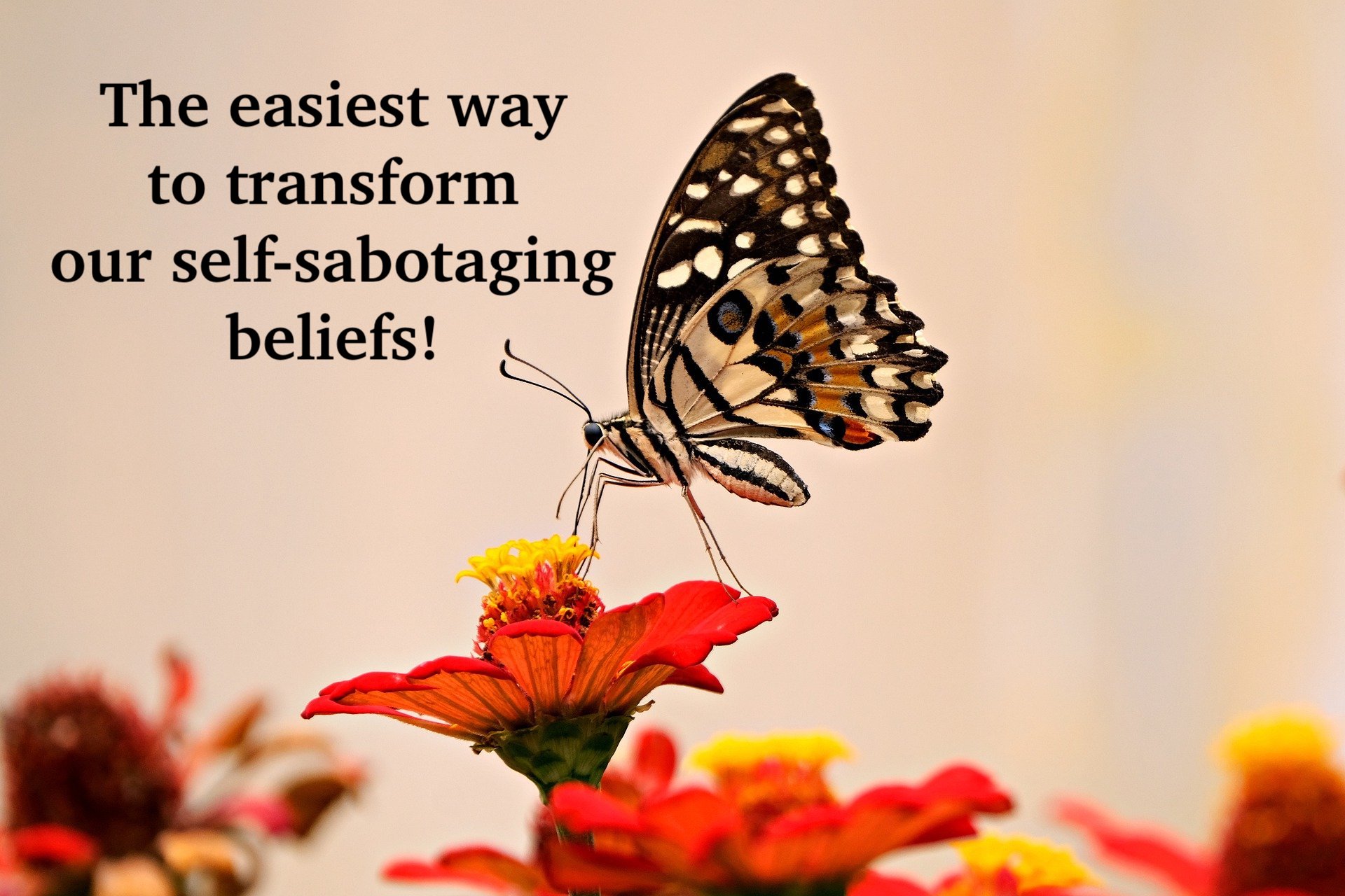 Transform self-sabotaging beliefs                 