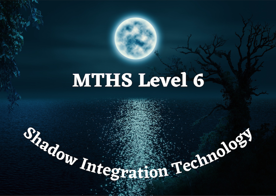 Shadow Integration Technology